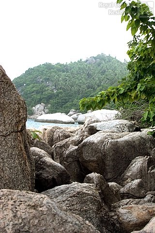 Rocks on beach