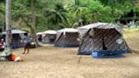 Tents