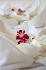 Apartments B
