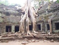 Angkor Wat